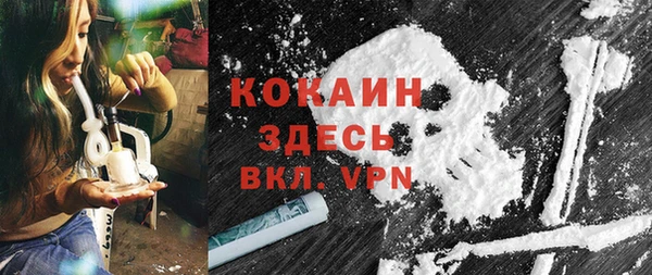 индика Алексеевка